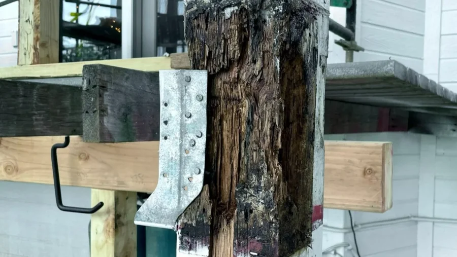 Structural dry rot repair on a foothill home